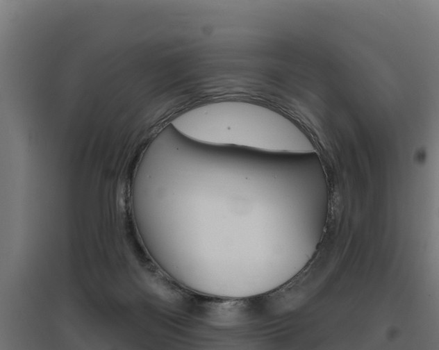 X0000097670122200802290955