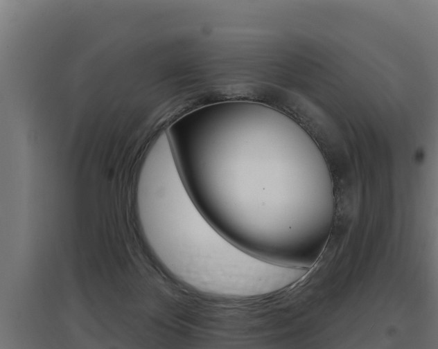X0000097670124200802290955