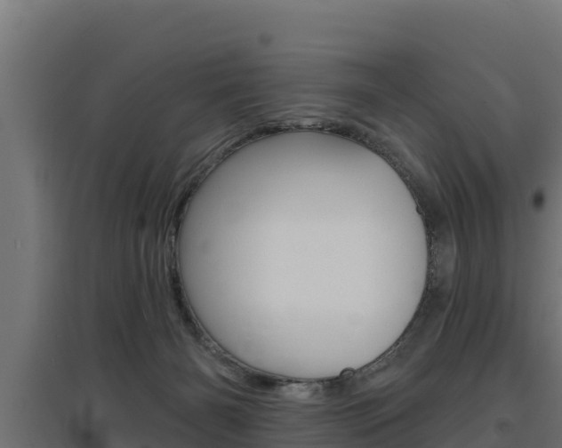 X0000097670126200802290955