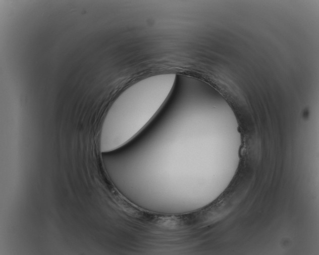 X0000097670127200802290955