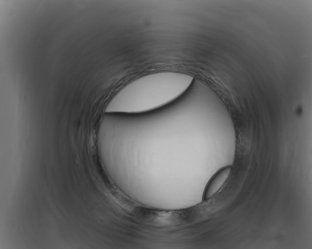 X0000097670130200802290955