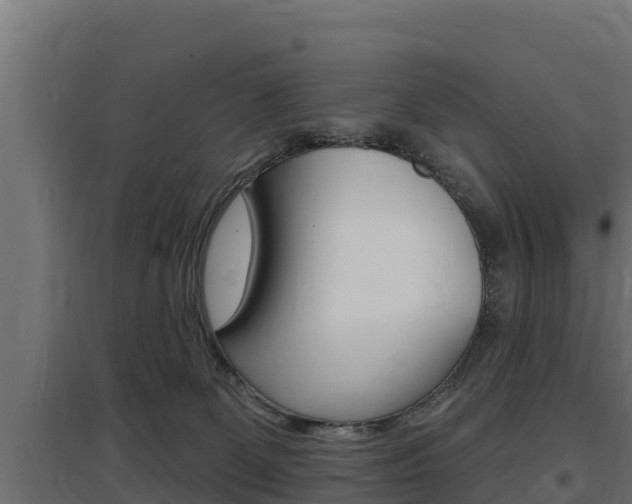 X0000097670131200802290955