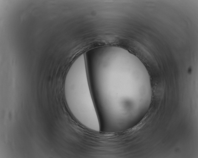 X0000097670132200802290955