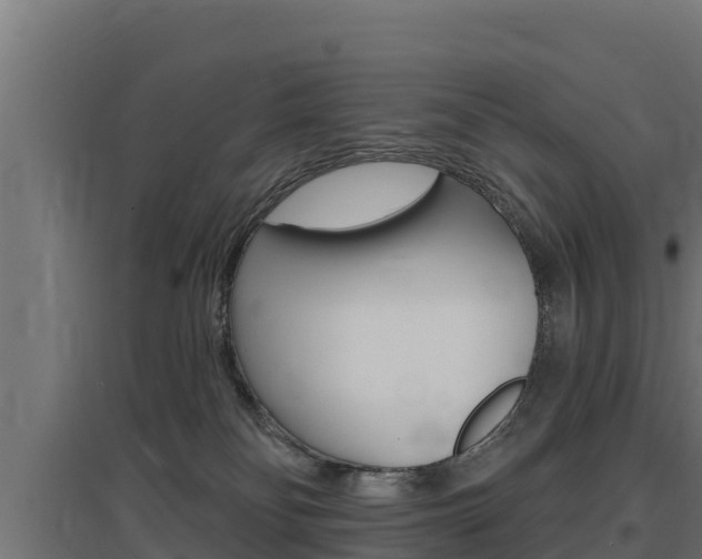 X0000097670134200802290955