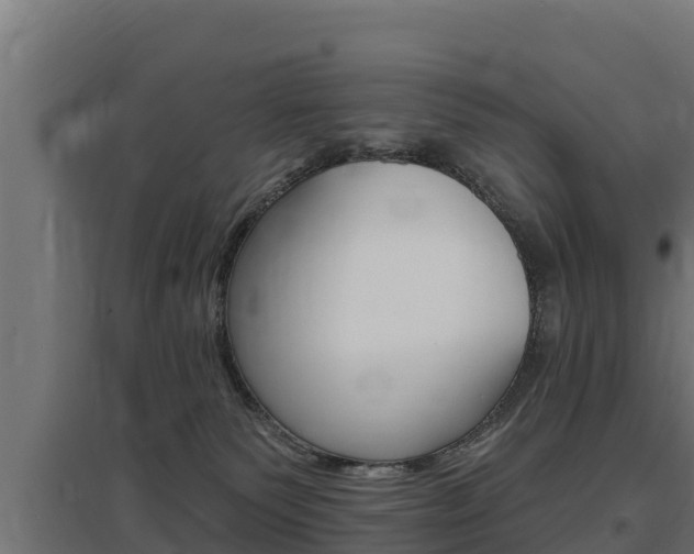 X0000097670135200802290955