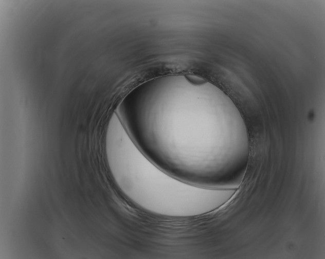 X0000097670136200802290955