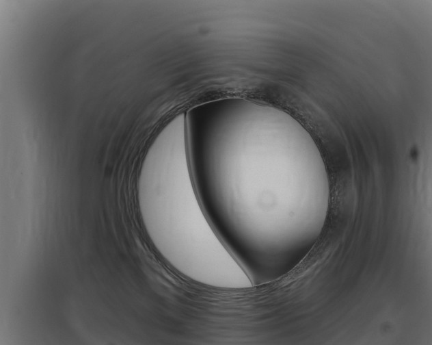 X0000097670137200802290955