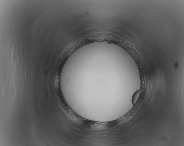 X0000097670138200802290955