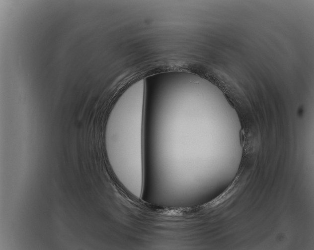 X0000097670140200802290955