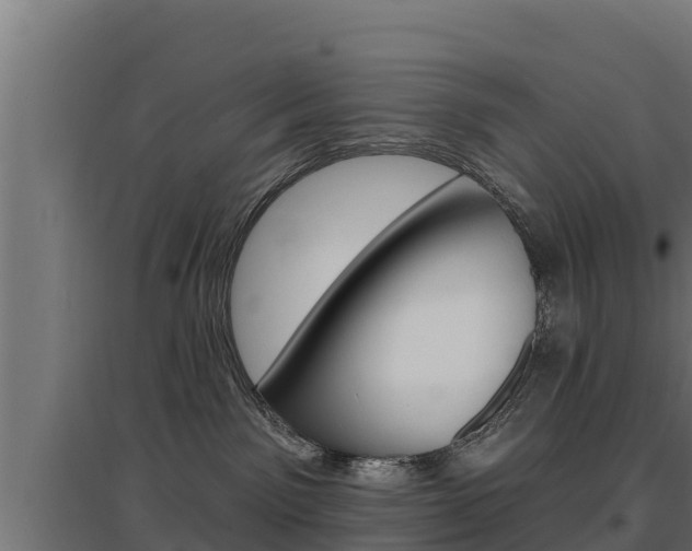 X0000097670141200802290955