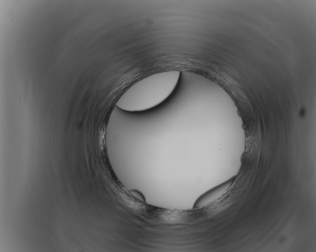 X0000097670142200802290955