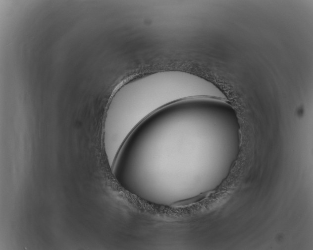 X0000097670144200802290955
