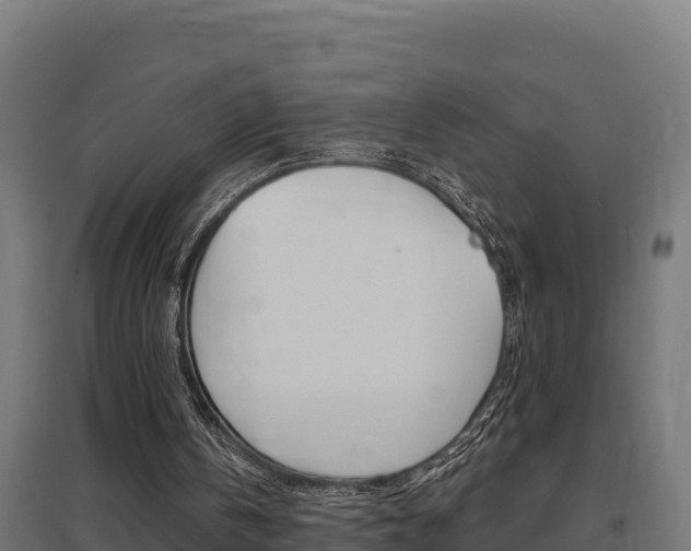 X0000097670146200802290954