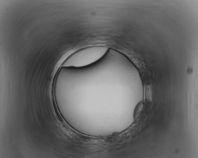 X0000097670147200802290954