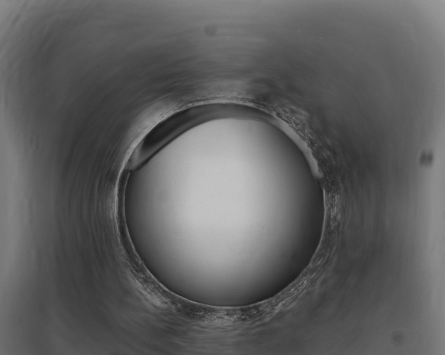 X0000097670148200802290954