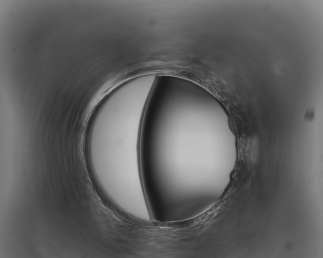 X0000097670150200802290954