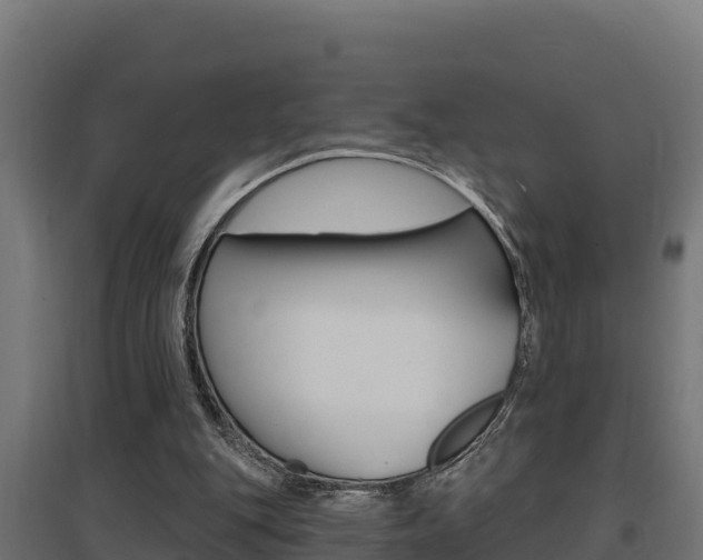 X0000097670151200802290954