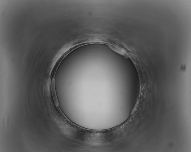 X0000097670152200802290954