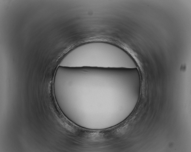 X0000097670153200802290954