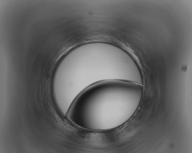 X0000097670154200802290954
