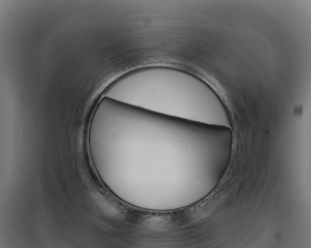 X0000097670155200802290954