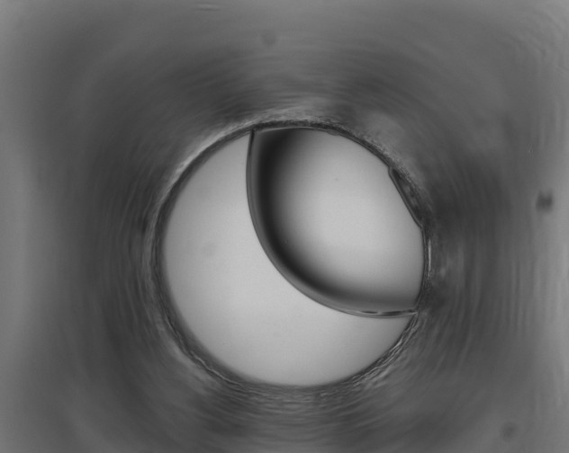 X0000097670156200802290954