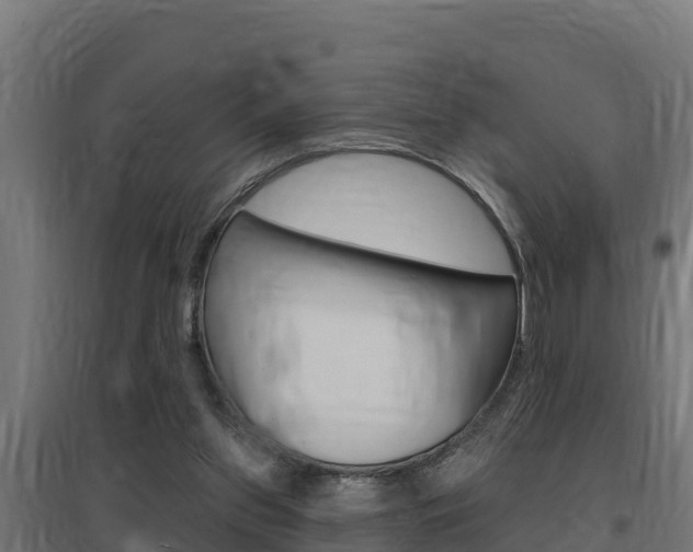 X0000097670157200802290954