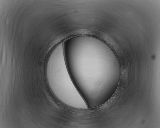 X0000097670158200802290954