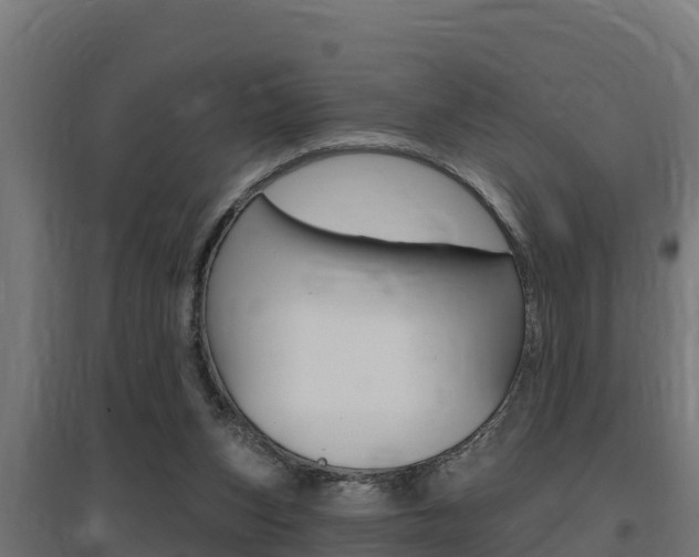 X0000097670159200802290954