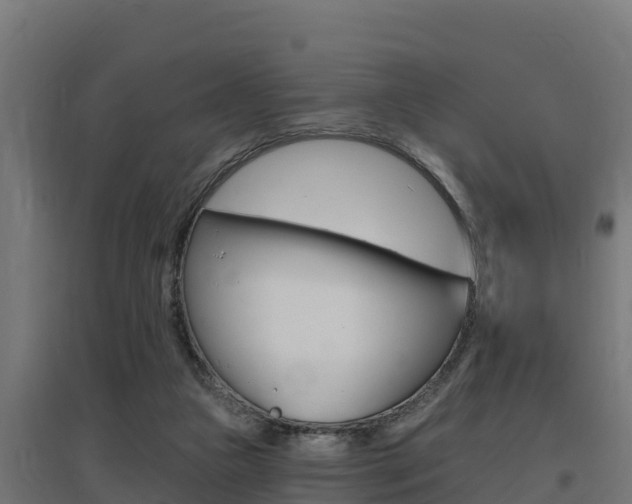 X0000097670161200802290954
