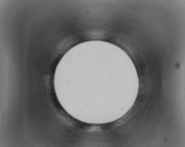 X0000097670162200802290954