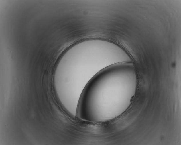 X0000097670164200802290954