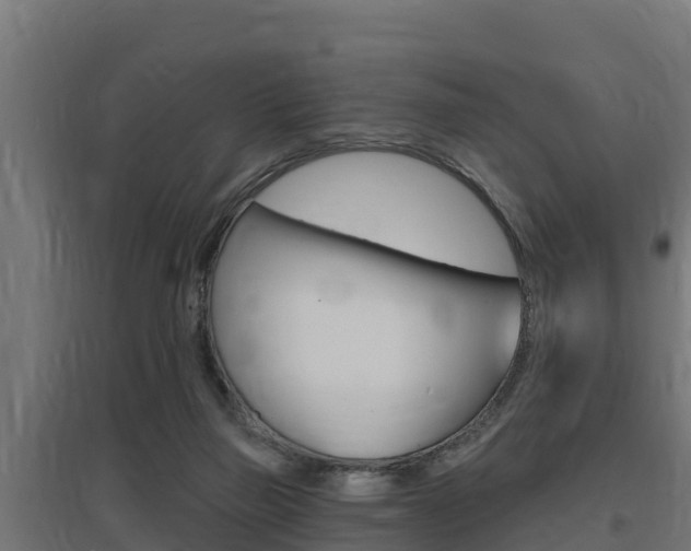 X0000097670165200802290954