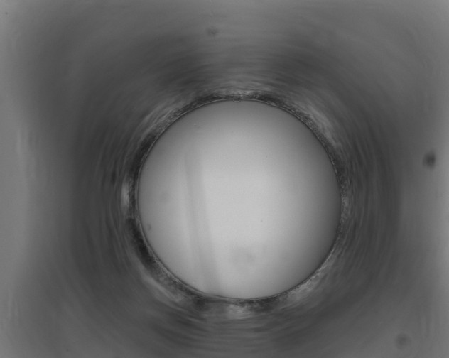 X0000097670166200802290954