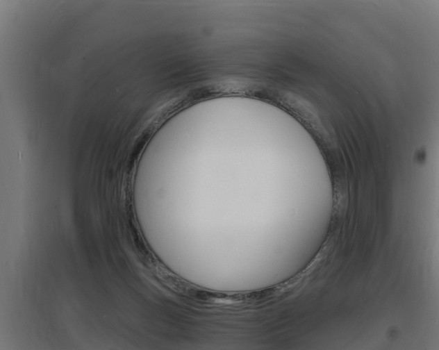 X0000097670167200802290954