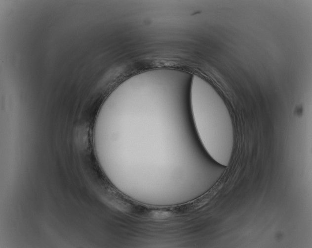 X0000097670169200802290954