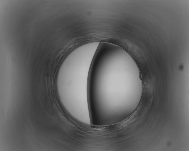 X0000097670170200802290954