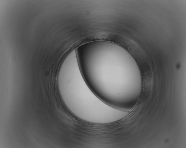 X0000097670172200802290954