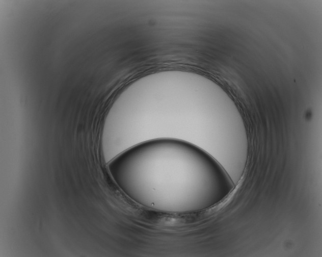 X0000097670174200802290954