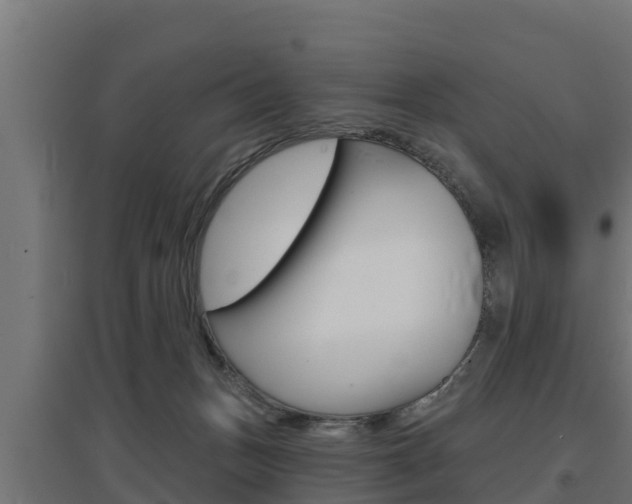 X0000097670175200802290954