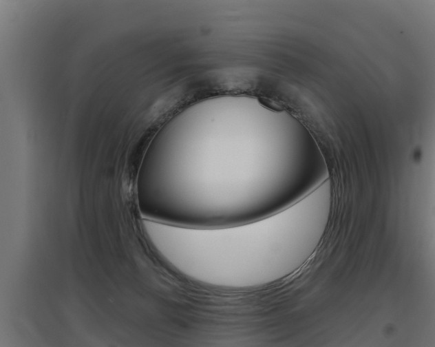 X0000097670176200802290954