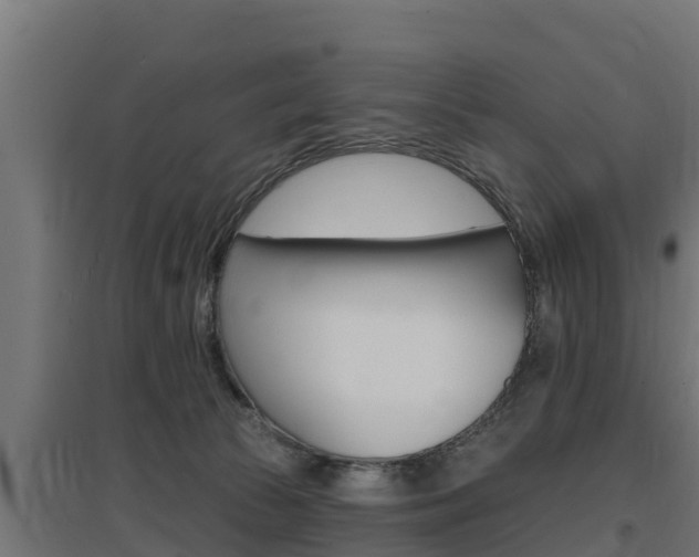 X0000097670177200802290954