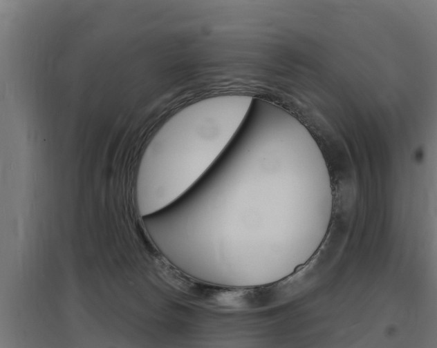 X0000097670178200802290954
