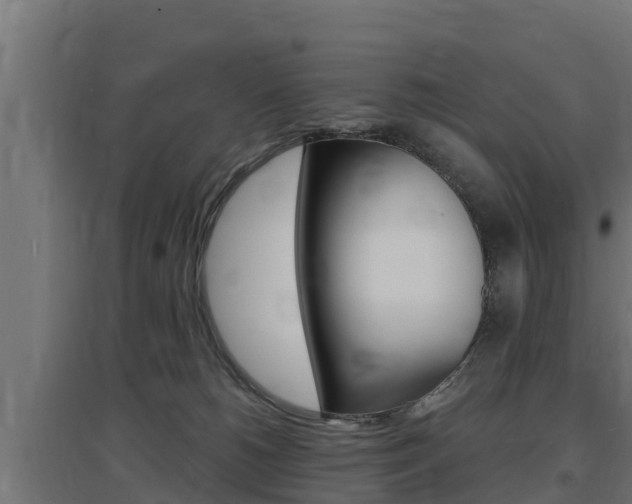 X0000097670180200802290954