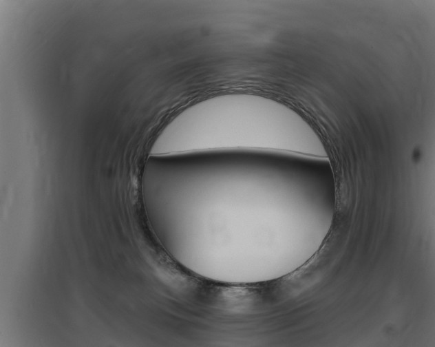 X0000097670183200802290954