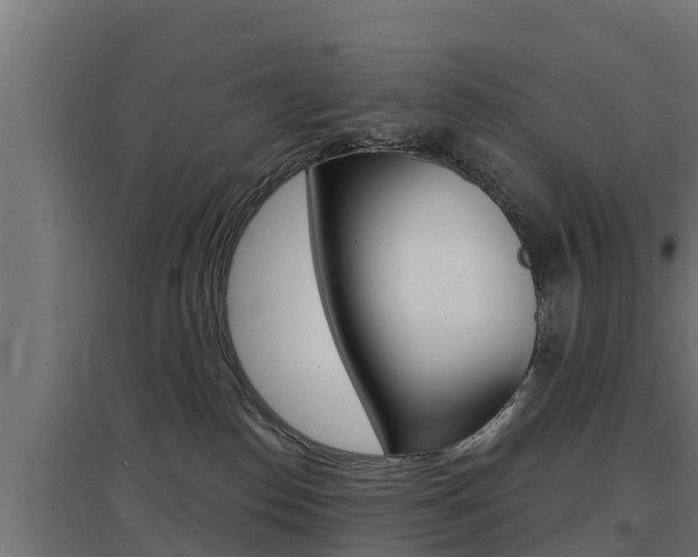 X0000097670186200802290954