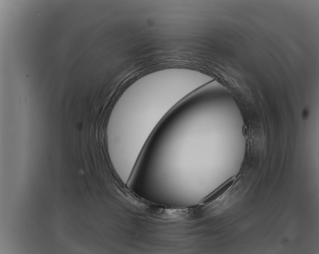 X0000097670188200802290955