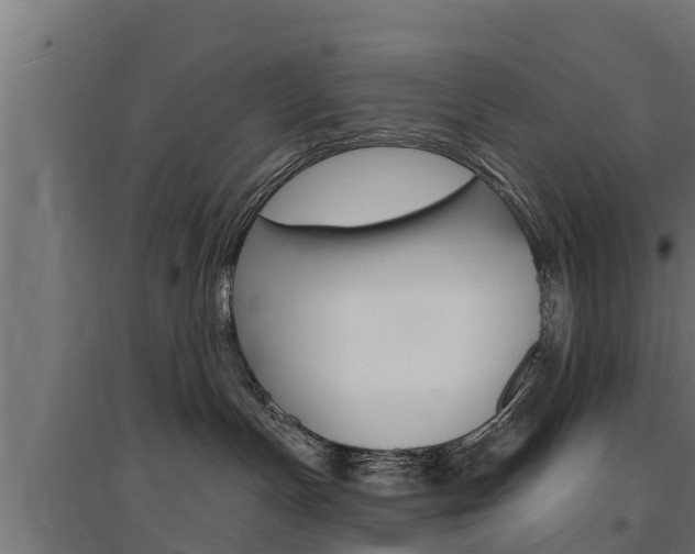 X0000097670191200802290955