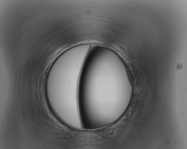 X0000097670193200802290954