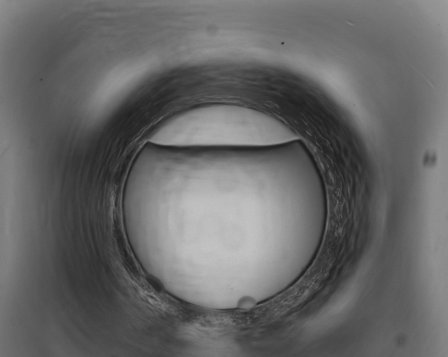 X0000097670194200802290954